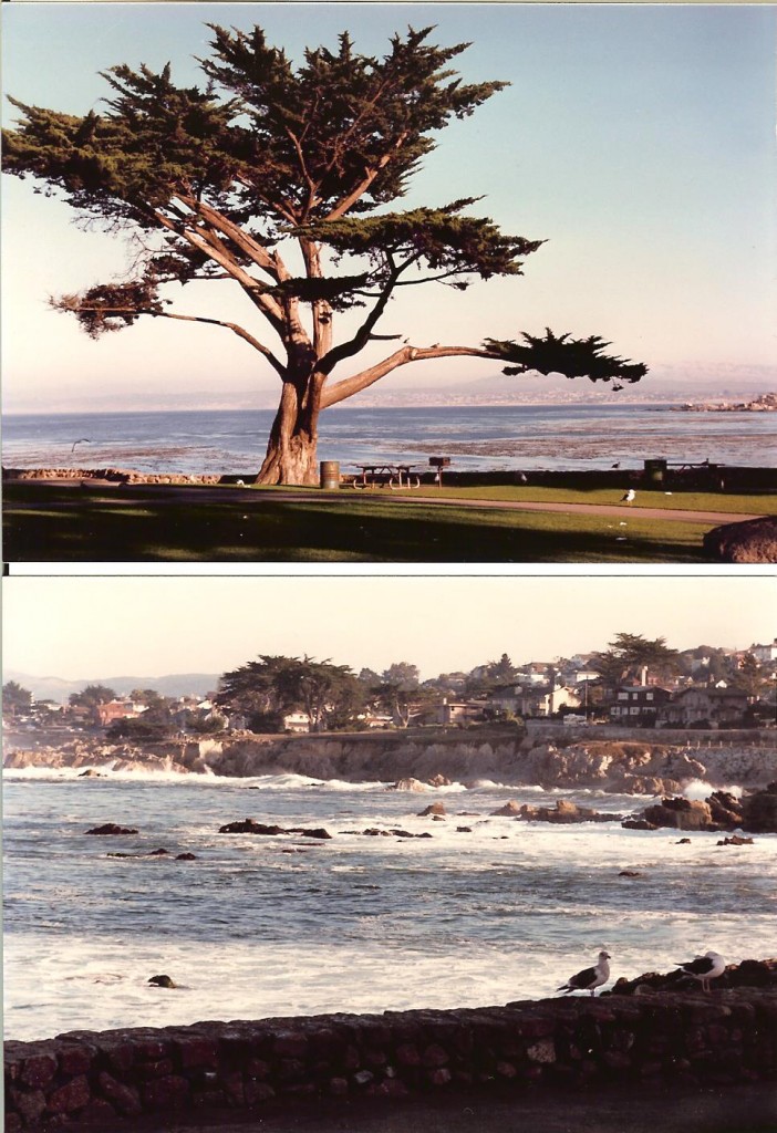 monterey bay 001