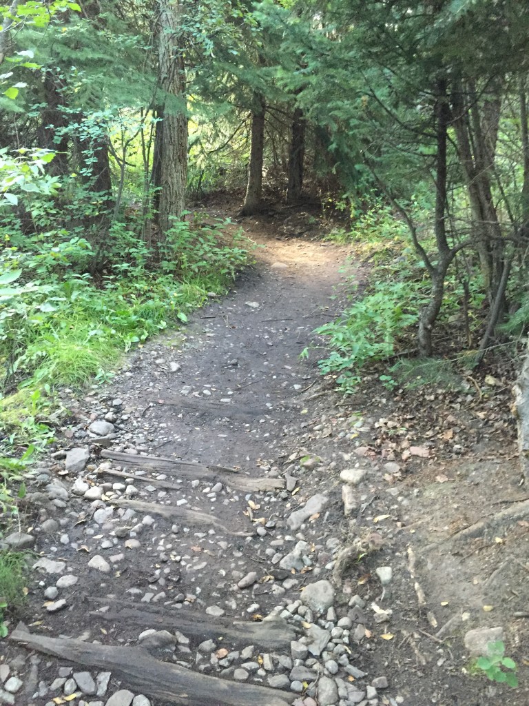 Hiking Hunter Creek and Smuggler's Run (43)