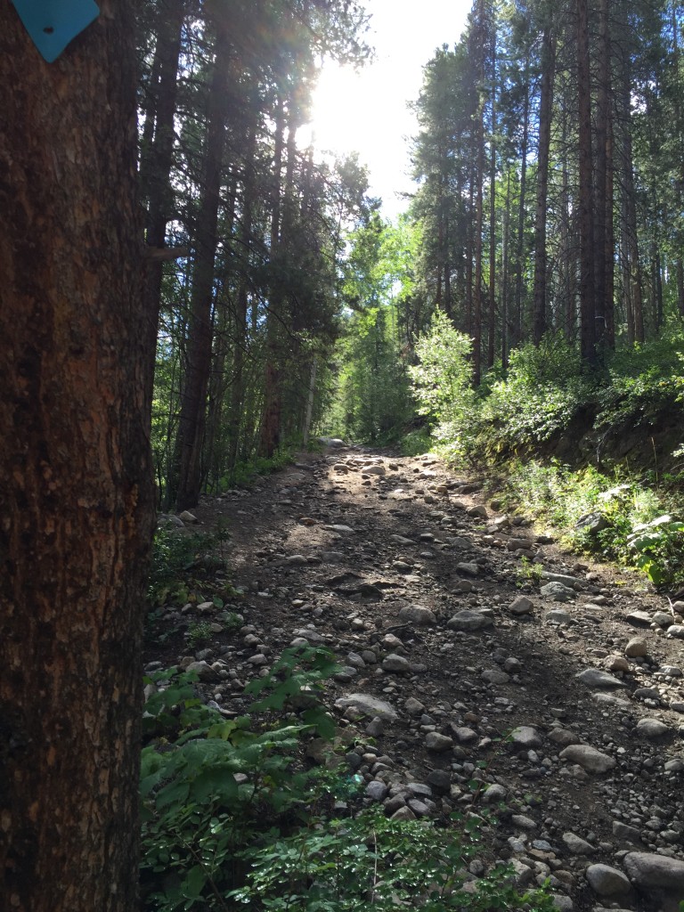 Hiking Hunter Creek and Smuggler's Run (6)