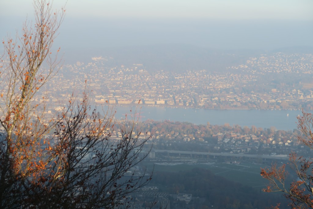Best view of Lake Zurich and Zurich, Switzerland. 